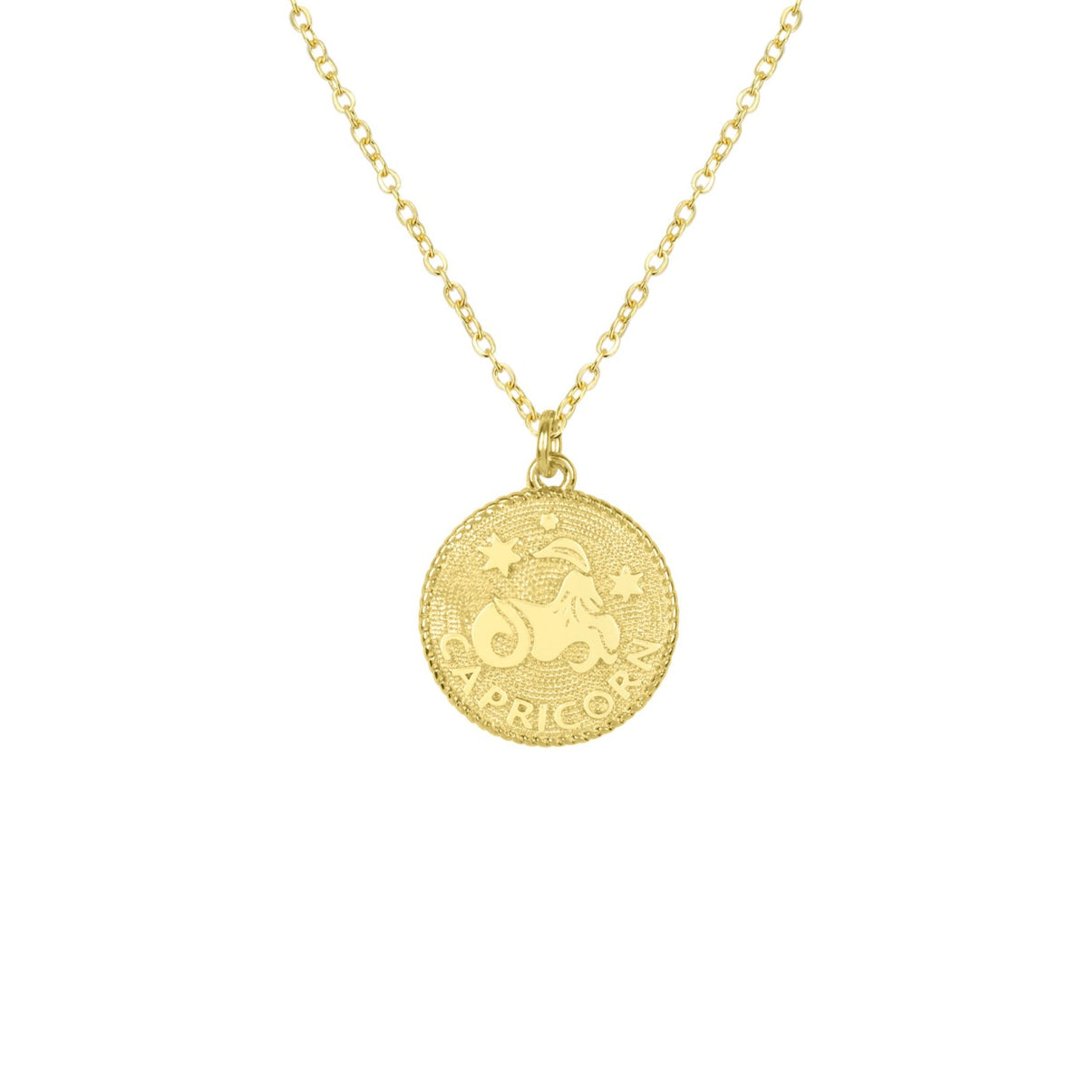 Capricorn Zodiac Necklace_Dec 22-Jan 19_Katie Dean Jewelry_horoscope sign_Zodiac Collection, dainty handmade necklaces by Katie Dean Jewelry