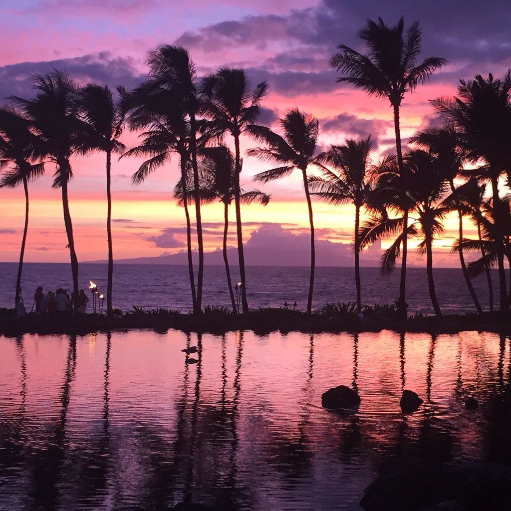 A Little Hawaiian Getaway!